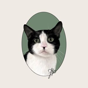 Custom Digital Drawing of Your Pet